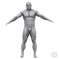 BASE BODY SCANS