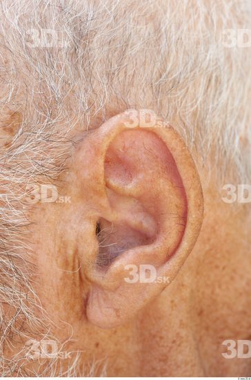 and more Ear Man White Chubby