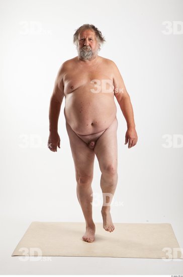 Whole Body Man Animation references White Nude Overweight Bearded