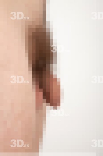 Penis Nude Studio photo references