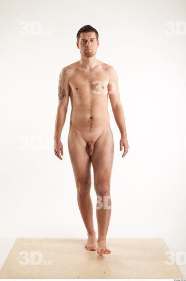 Whole Body Man Animation references White Nude Average Bearded