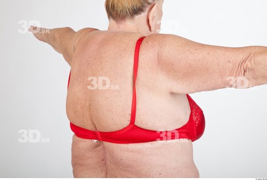 Back Underwear Bra Overweight Studio photo references