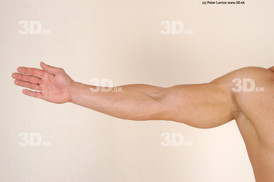 Arm Whole Body Man Animation references Tattoo Nude Muscular Studio photo references