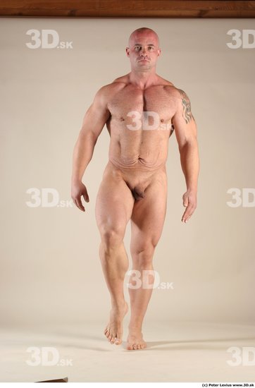 Whole Body Man Animation references White Tattoo Nude Muscular