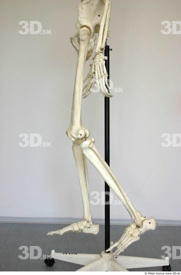 Leg Skeleton Animation references