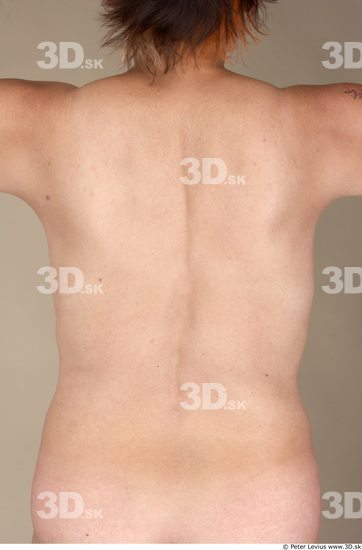 Whole Body Back Woman Artistic poses Nude Underwear Slim Average Studio photo references