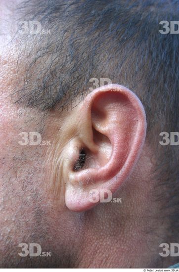 Ear Man White Average