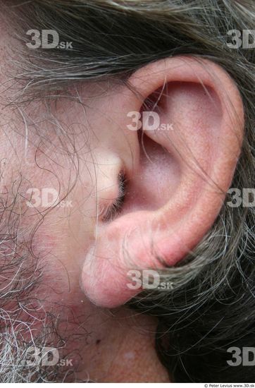 Ear Man White Average