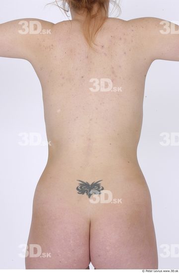 Upper Body Whole Body Woman Nude Average Studio photo references