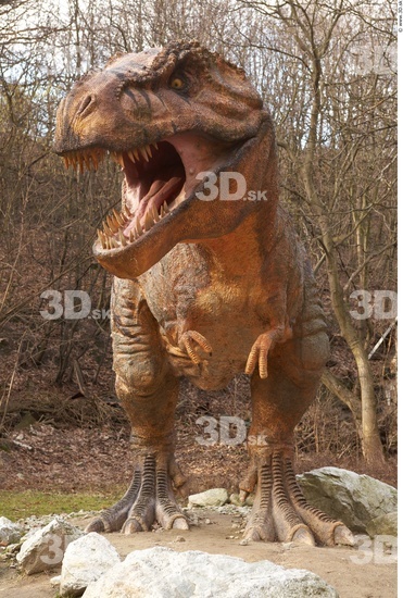 Whole Body Dinosaurus-Thyranosaurus