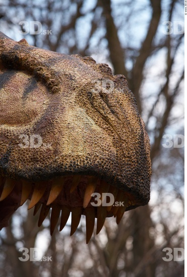 Teeth Dinosaurus-Thyranosaurus