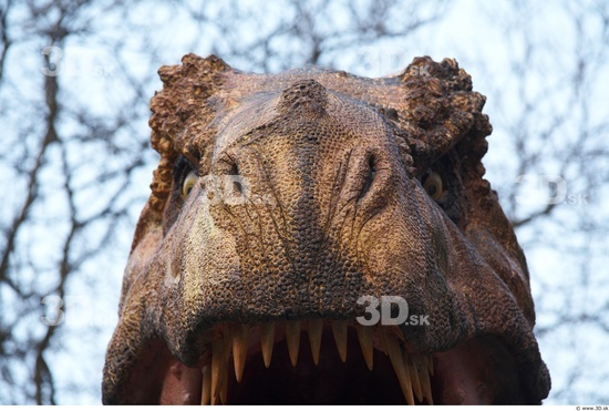 Nose Dinosaurus-Thyranosaurus