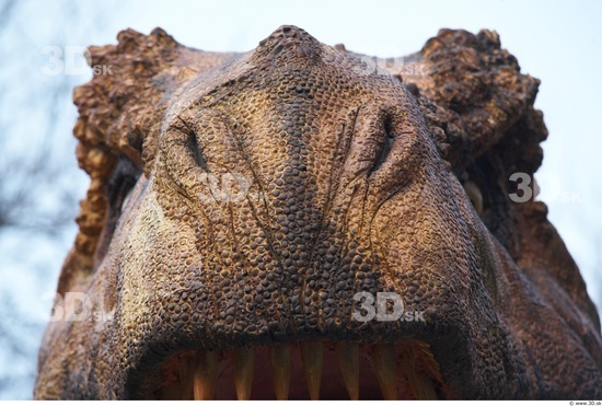 Nose Dinosaurus-Thyranosaurus
