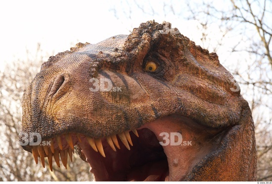 Face Dinosaurus-Thyranosaurus