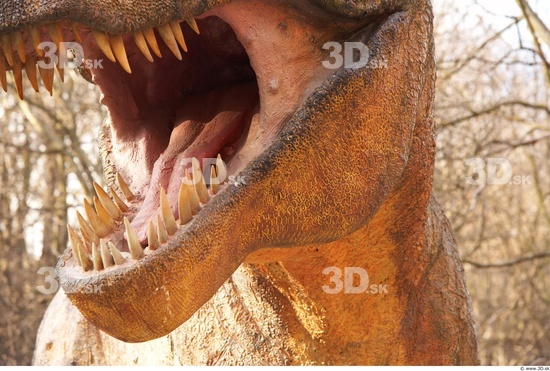 Mouth Dinosaurus-Thyranosaurus