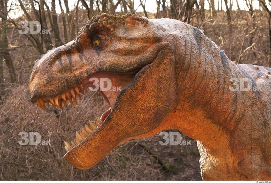 Whole Body Dinosaurus-Thyranosaurus