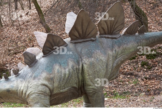 Chest Whole Body Dinosaurus-Stegosaurus Animal photo references