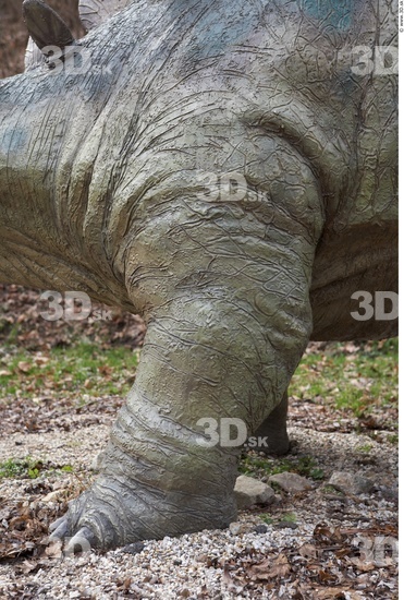 Leg Whole Body Dinosaurus-Stegosaurus Animal photo references