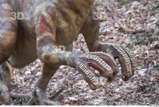 Hand Whole Body Dinosaurus-Saurian Animal photo references