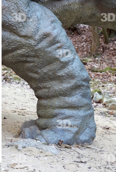 Calf Whole Body Dinosaurus-Triceratops Animal photo references