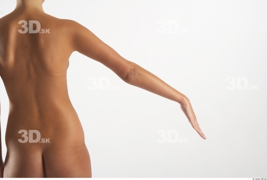 Arm Woman Animation references White Nude Slim