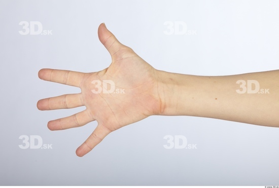 Hand Whole Body Woman Animation references Nude Slim Studio photo references