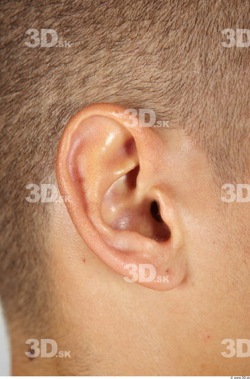 Ear Man Muscular Studio photo references