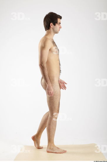 Whole Body Man Animation references White Hairy Nude Athletic