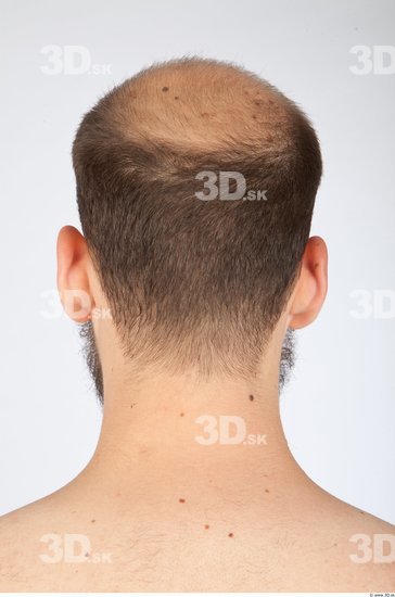 Back Head Animation references Slim Bald Studio photo references