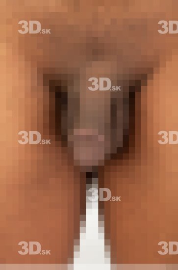 Penis Black Nude Studio photo references