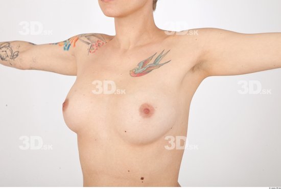 Breast Woman Tattoo Nude Slim Studio photo references