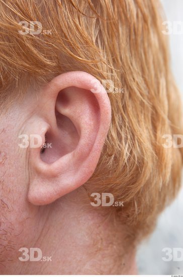 Ear Man White Average