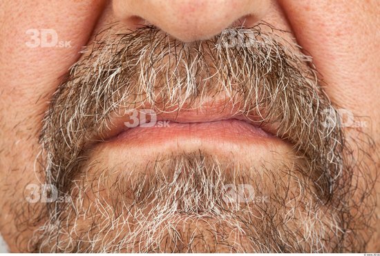 Mouth Average Bearded Studio photo references