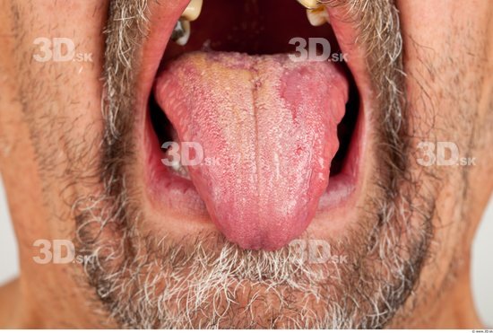 Tongue Average Bearded Studio photo references