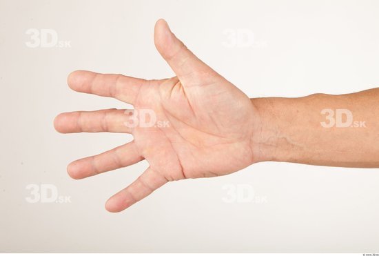Hand Man Average Studio photo references