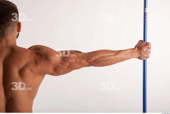 Arm muscles anatomy reference of bodybuilder Harold