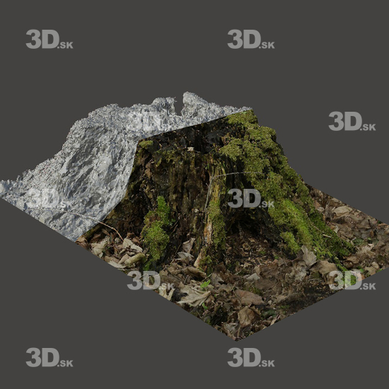 3D Scans