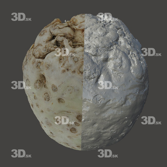 3D Scans