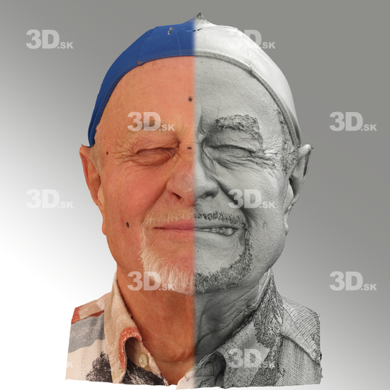 3D Scans