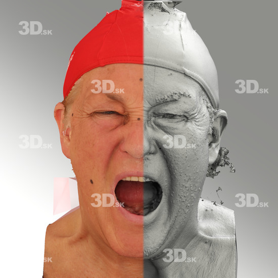 Head Woman 3D Scans