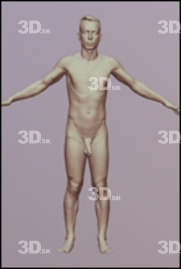 3D Scans