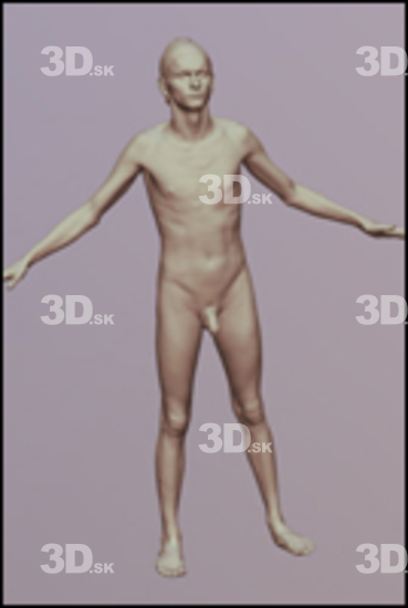 3D Scans