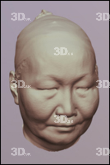 3D Scans