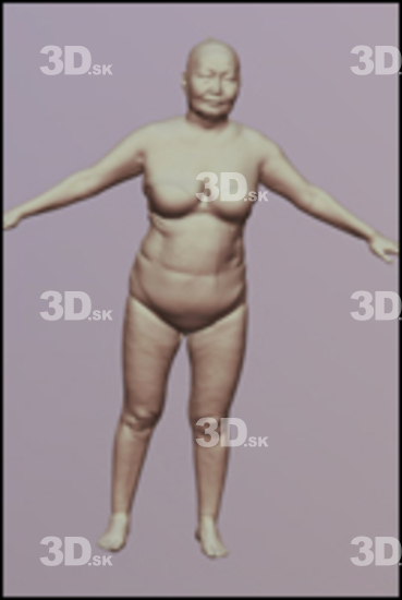 3D Scans