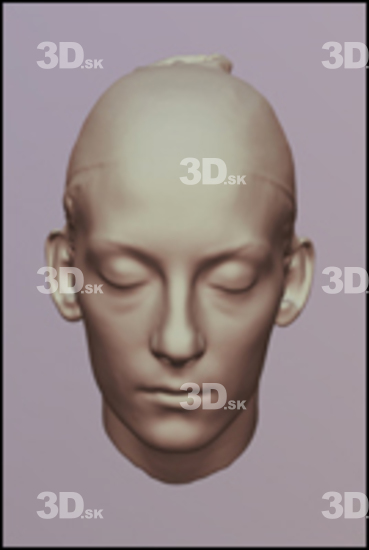 3D Scans