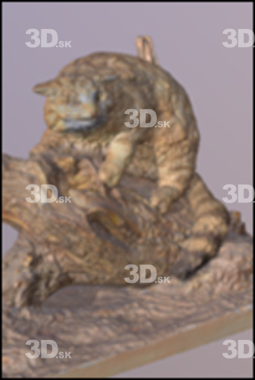 Cat 3D Scans