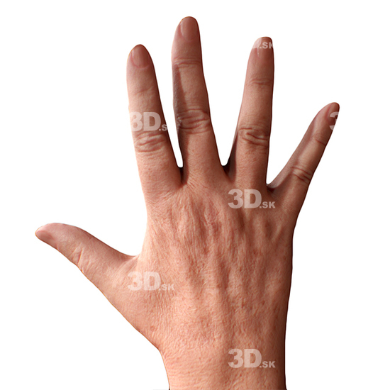 Hand Woman White 3D Retopologised Hands