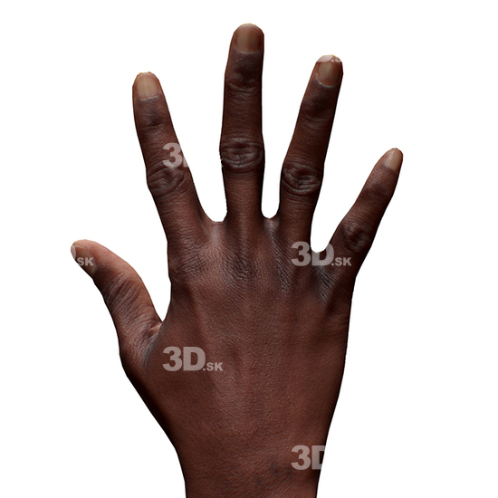 Hand Woman Black 3D Retopologised Hands