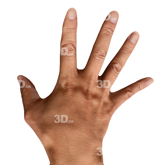 Hand Man Asian 3D Retopologised Hands