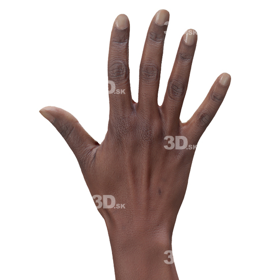 Hand Woman Black 3D Retopologised Hands